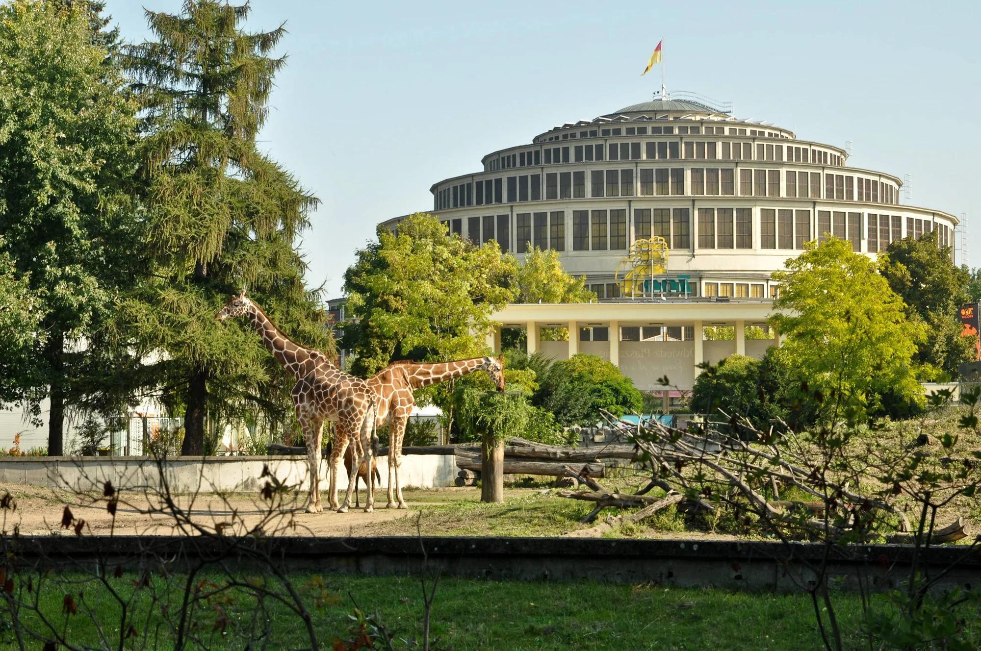Wrocław-Hydropolis+Zoo-Miasto krasnali- 2 dni