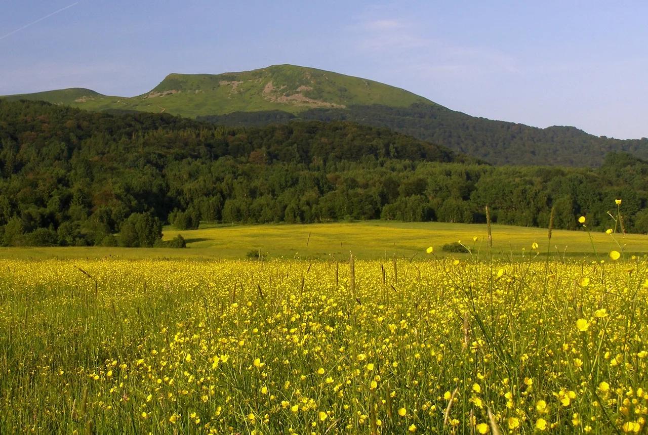 Bieszczady — zielona szkoła 3 dni
