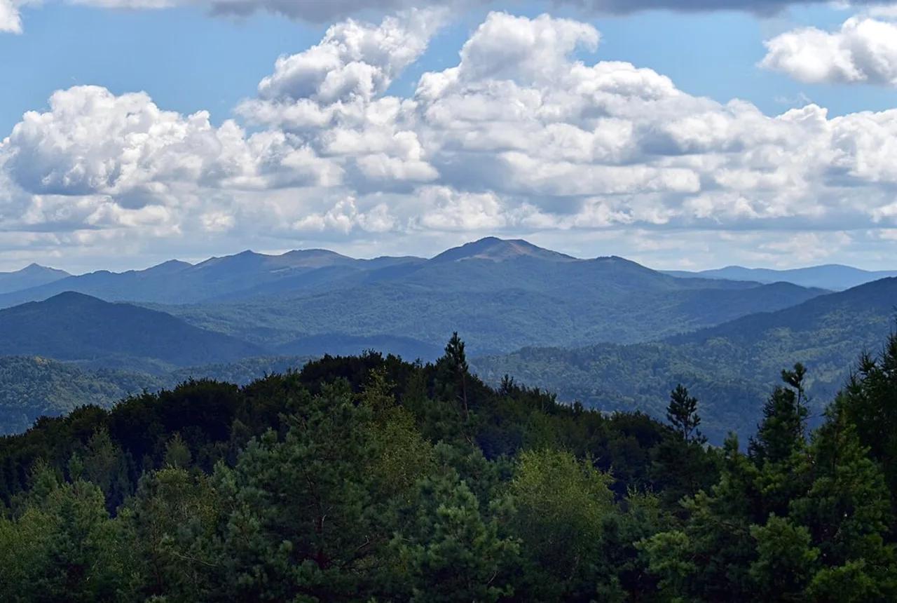 Zielona szkoła — Bieszczady