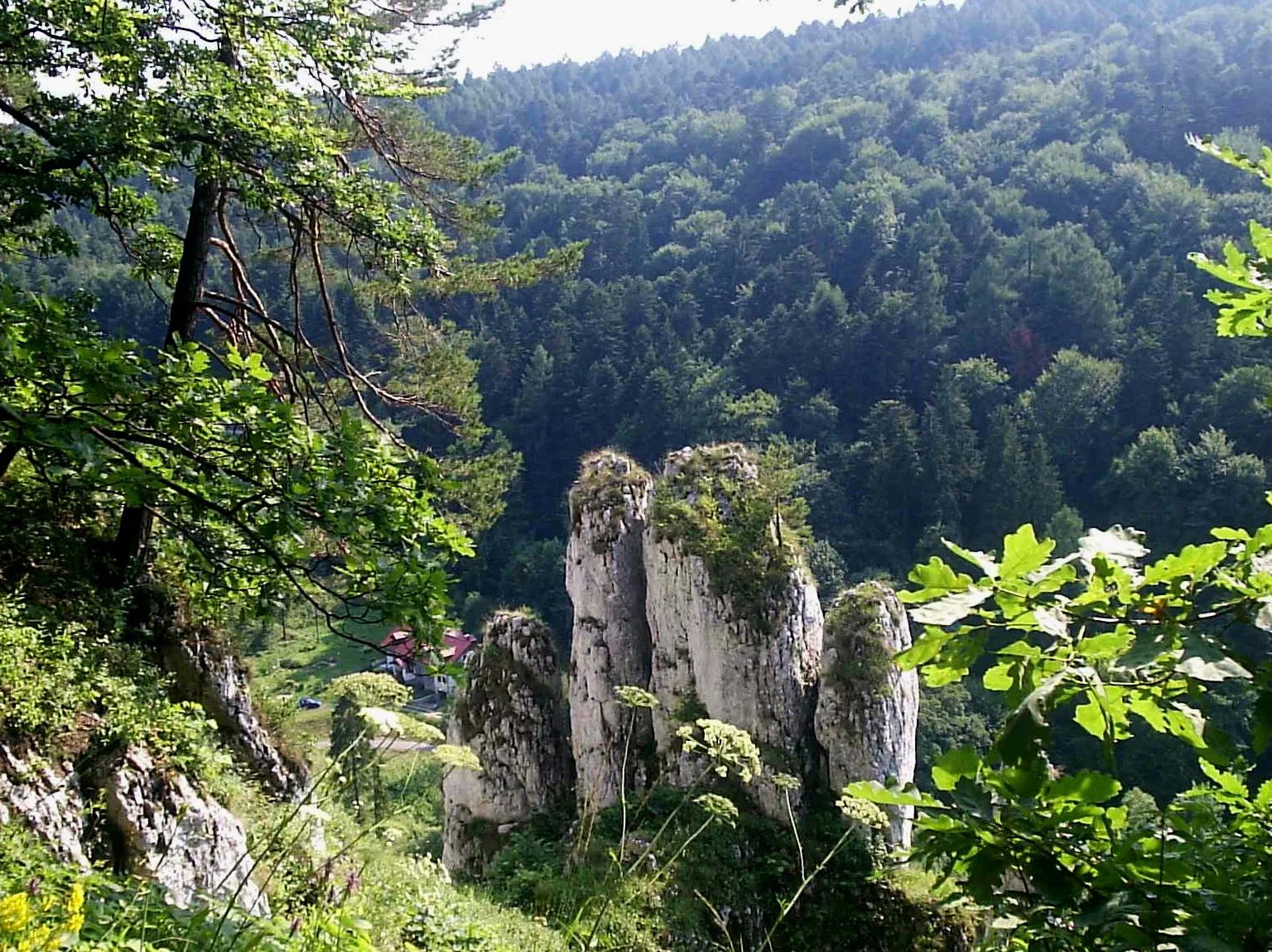 JuraPark Bałtów + dinozaury