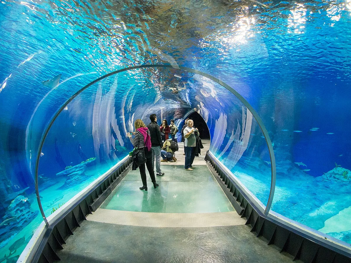 Afrykarium