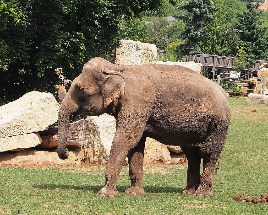 ZOO Praga