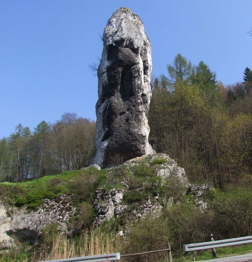 Maczuga Herkulesa