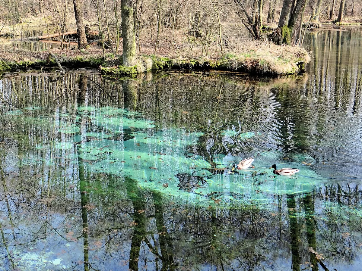 Niebieskie Źródła