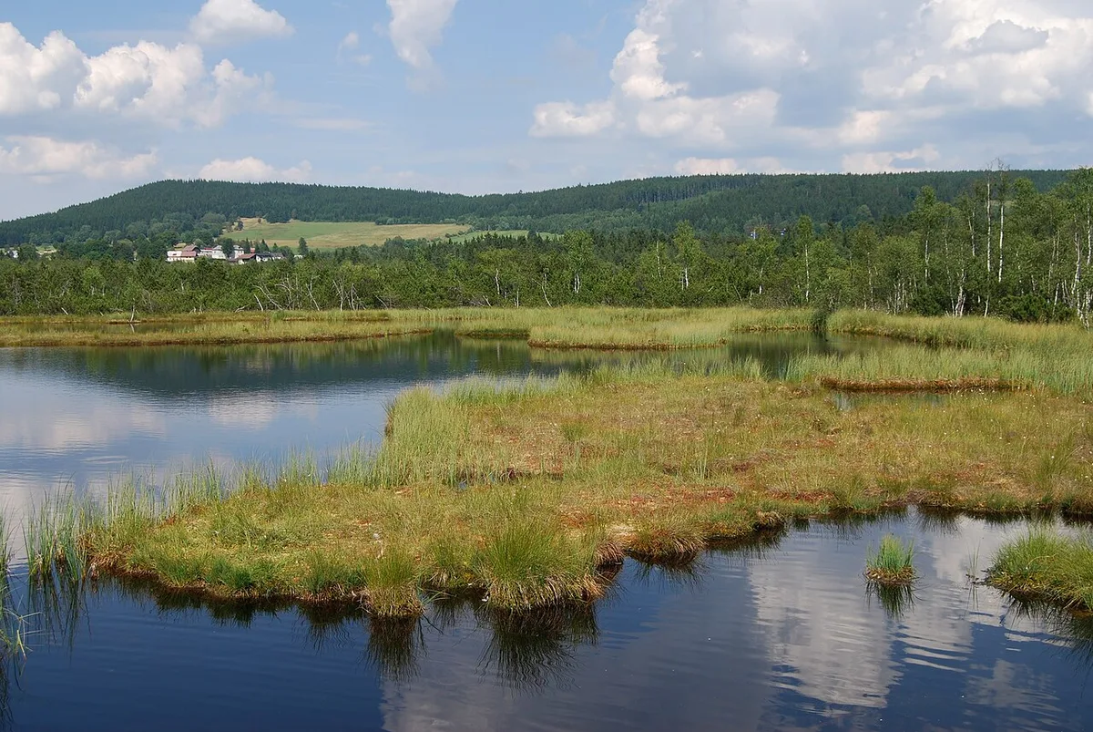 Park Narodowy Šumava