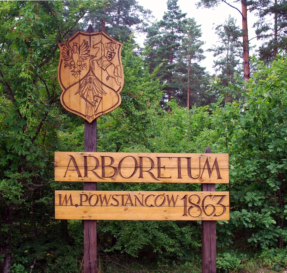 Arboretum w Kopnej Górze (Supraśl)